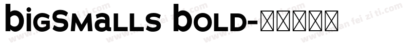BigSmalls Bold字体转换